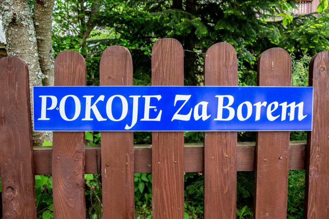 Проживание в семье Pensjonat Za Borem Zubrzyca Górna-15